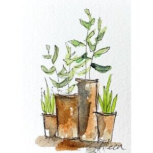 ACEO Painting Watercolor Ink Plants in Terracotta Pots Botanical II Signed